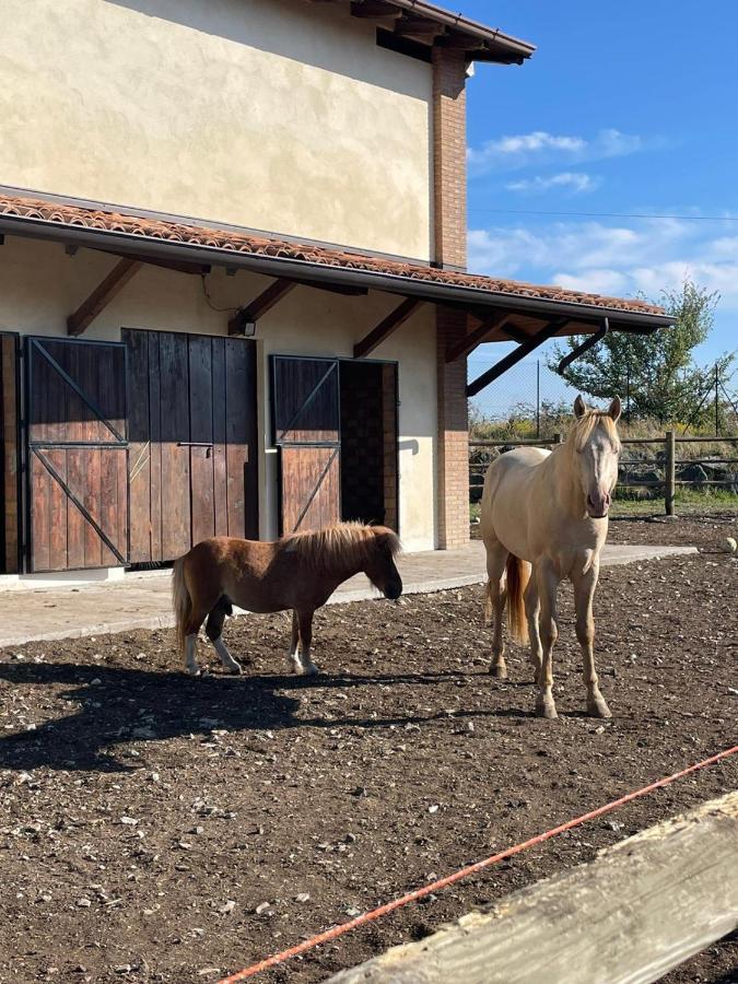 Agriturismo Cergallina Vernasca Zewnętrze zdjęcie