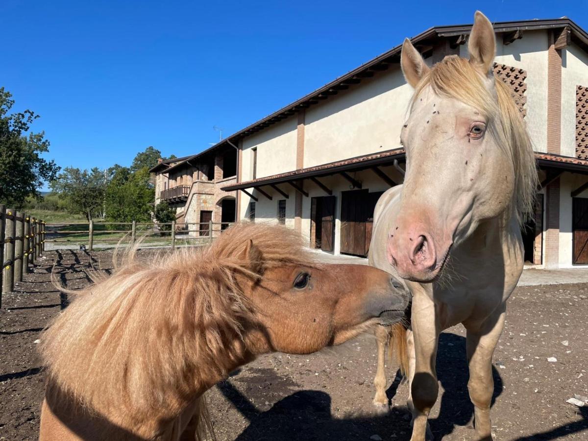 Agriturismo Cergallina Vernasca Zewnętrze zdjęcie