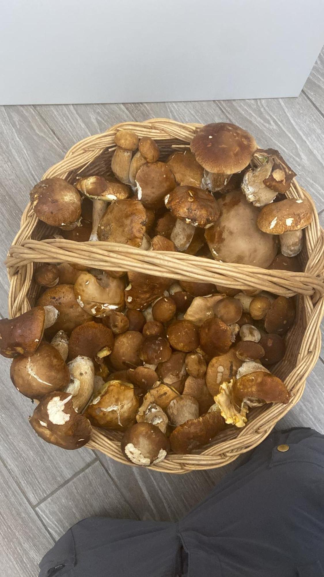 Agriturismo Cergallina Vernasca Zewnętrze zdjęcie